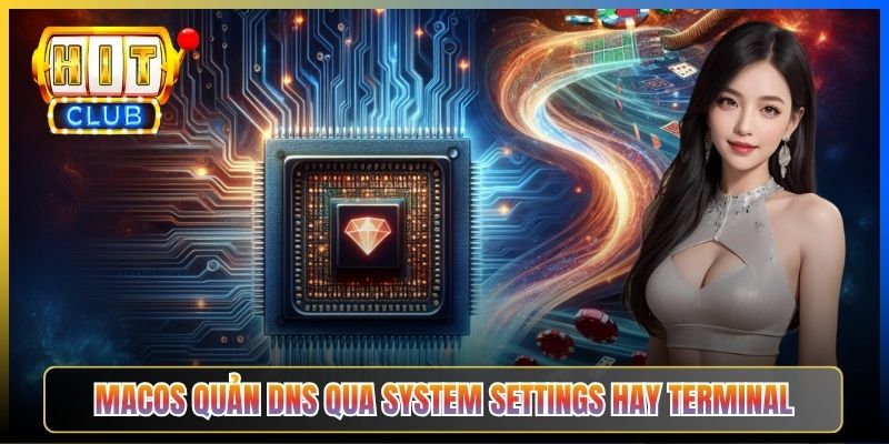 Đổi DNS macOS Vào Hitclub – Taihit03 Cấu Hình System Settings 2026 2 macOS quản DNS qua System Settings hay Terminal