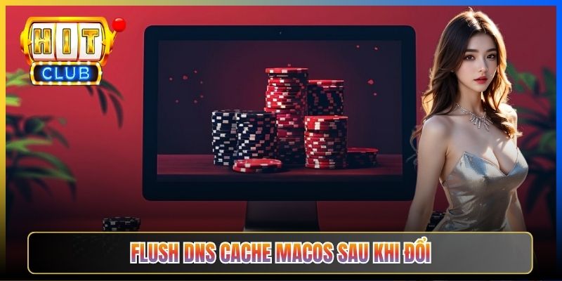 Đổi DNS macOS Vào Hitclub – Taihit03 Cấu Hình System Settings 2026 6 Flush DNS cache macOS sau khi đổi