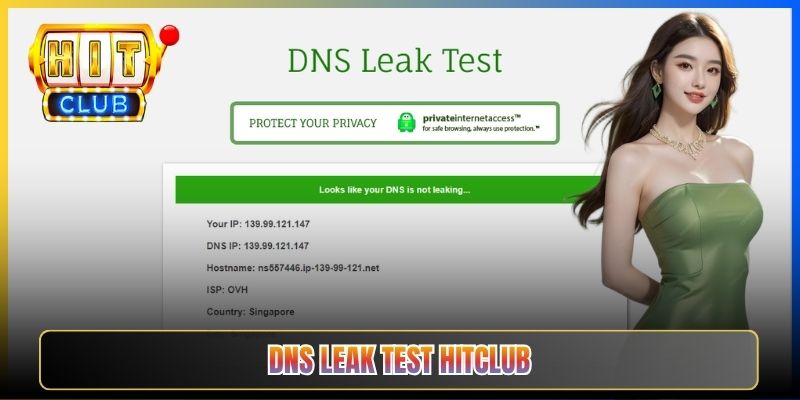 DNS Leak Test Hitclub – Taihit03 Kiểm Tra VPN Có Lộ Truy Vấn Không 2026 1 DNS Leak Test Hitclub – Taihit03 Kiểm Tra VPN Có Lộ Truy Vấn Không 2026