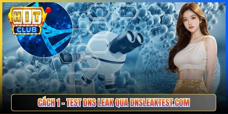 DNS Leak Test Hitclub – Taihit03 Kiểm Tra VPN Có Lộ Truy Vấn Không 2026 4 Cách 1 – Test DNS leak qua dnsleaktest.com