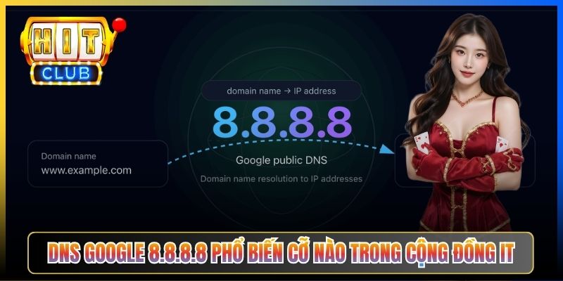 Google DNS 8.8.8.8 Hitclub – Taihit03 Setup DNS Google Vào Hitclub Mọi Lúc 2026 2 DNS Google 8.8.8.8 phổ biến cỡ nào trong cộng đồng IT