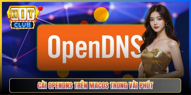 OpenDNS Hitclub – Taihit03 Hướng Dẫn Cài 208.67.222.222 An Toàn Lọc Mã Độc 5 Cài OpenDNS trên macOS trong vài phút
